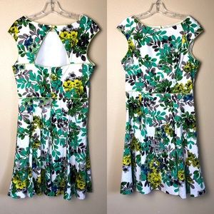 12 Pretty Cotton Dress - London Style Collection